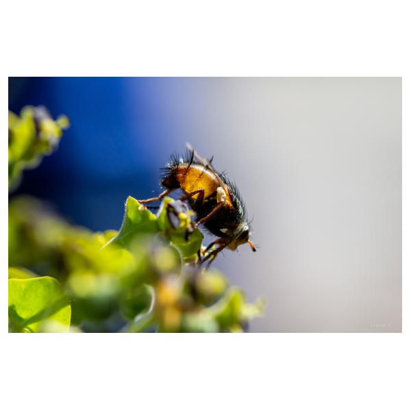 PHOTO84, CLUB, 84 , LUBERON